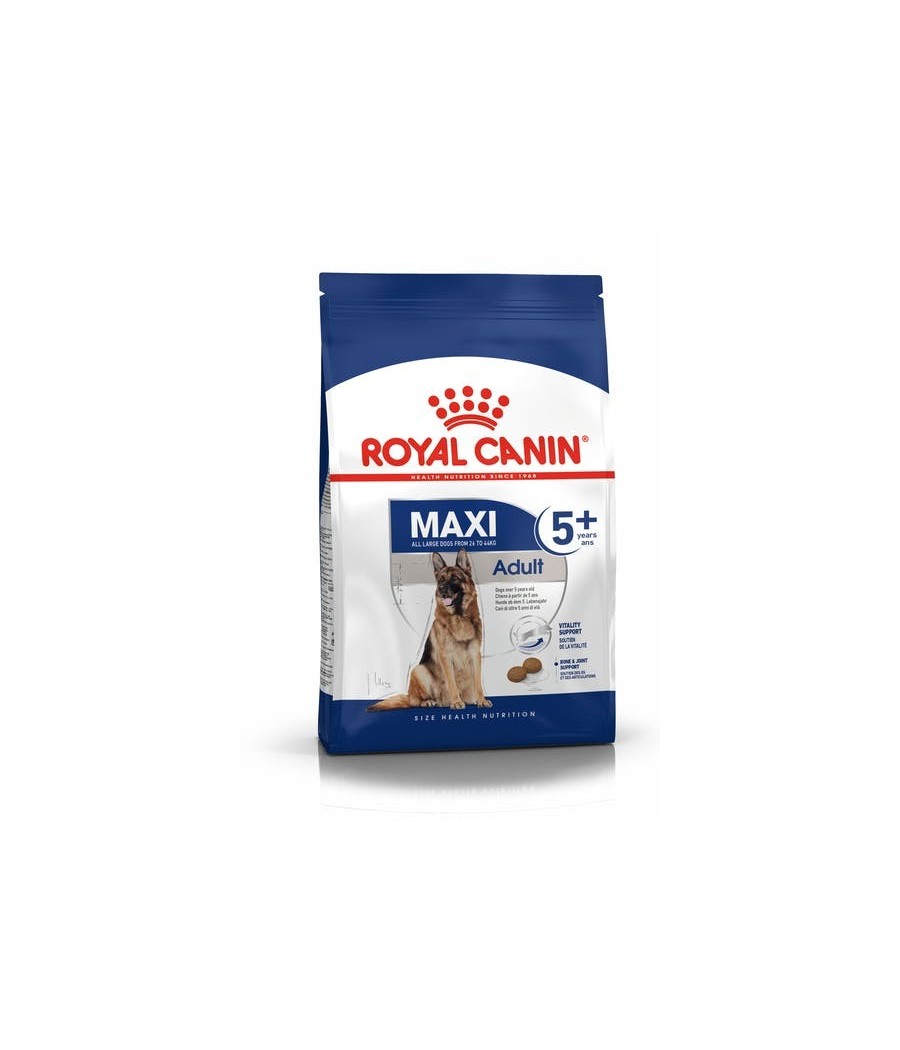 Maxi dog food best sale