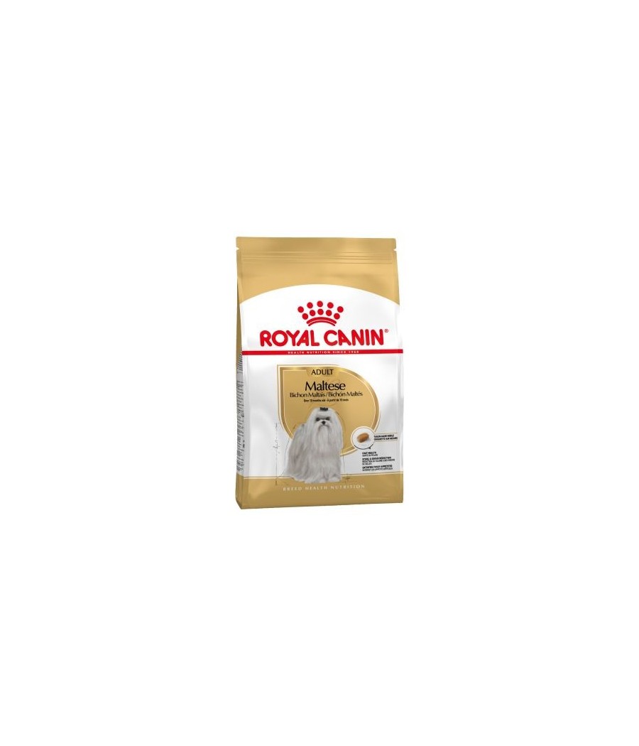 Royal Canin Maltese Adult Dog Dry Food