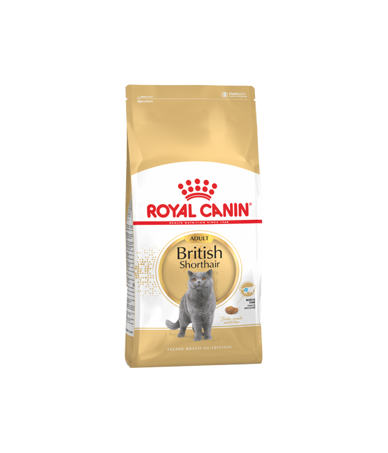 Royal canin 10kg fashion british shorthair