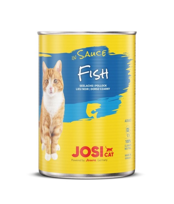 Josi Cat Fish In Sauce