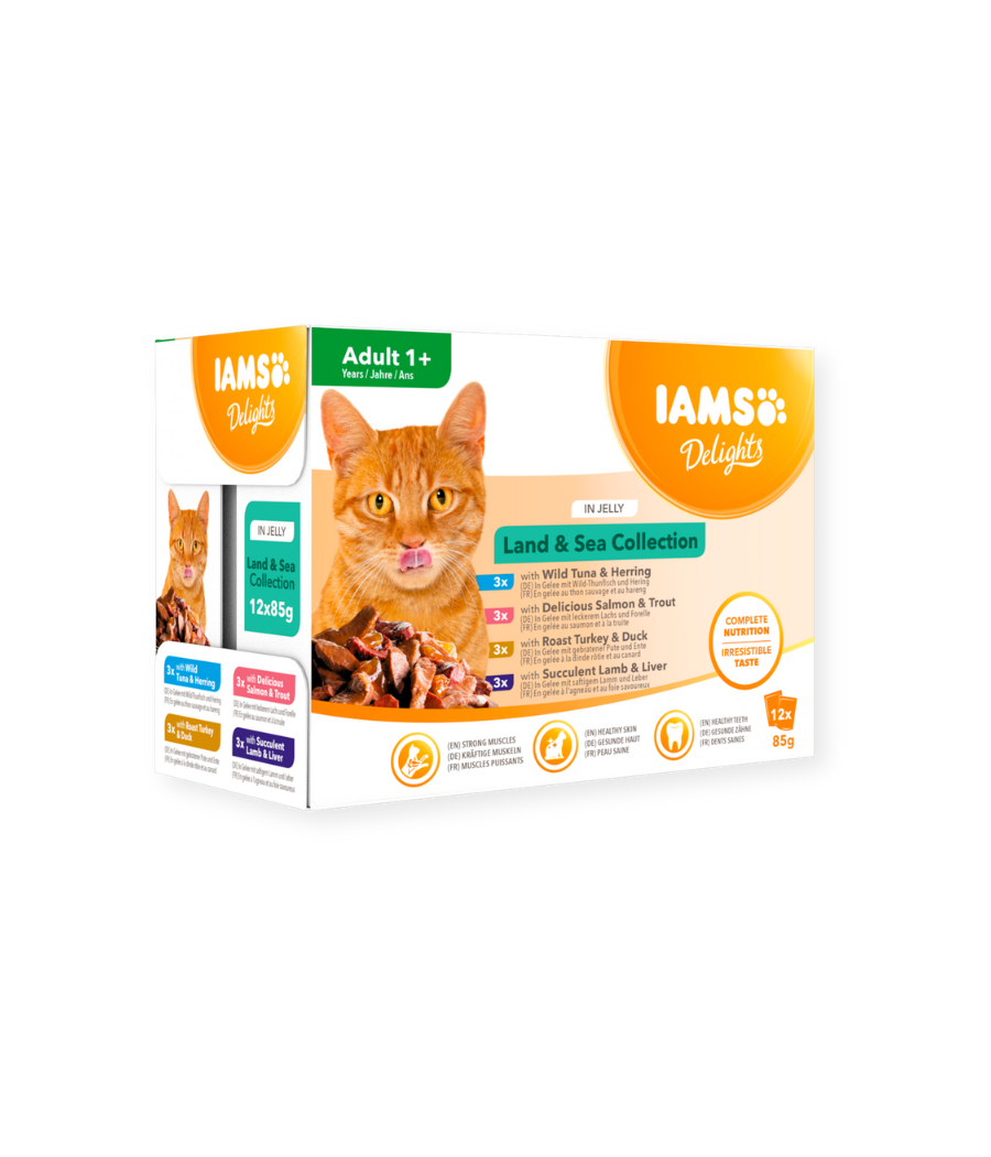 Iams delights best sale