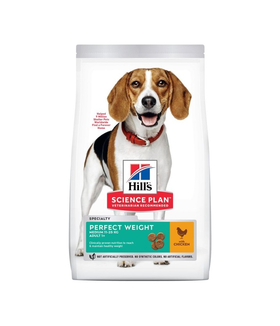 Pets at home hills dog food best sale