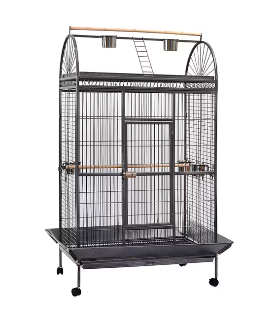 Parrot Cage