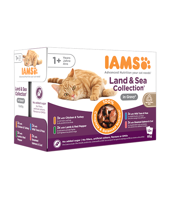 Iams Delights Land & Sea In...