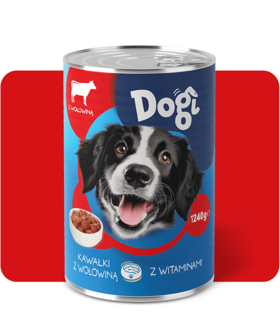 Dogi Wet Food With Beef