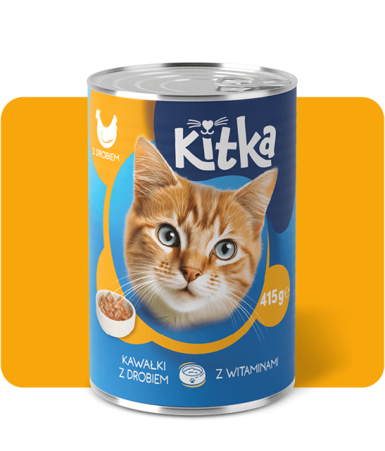 Kitka Wet Food With Poultry