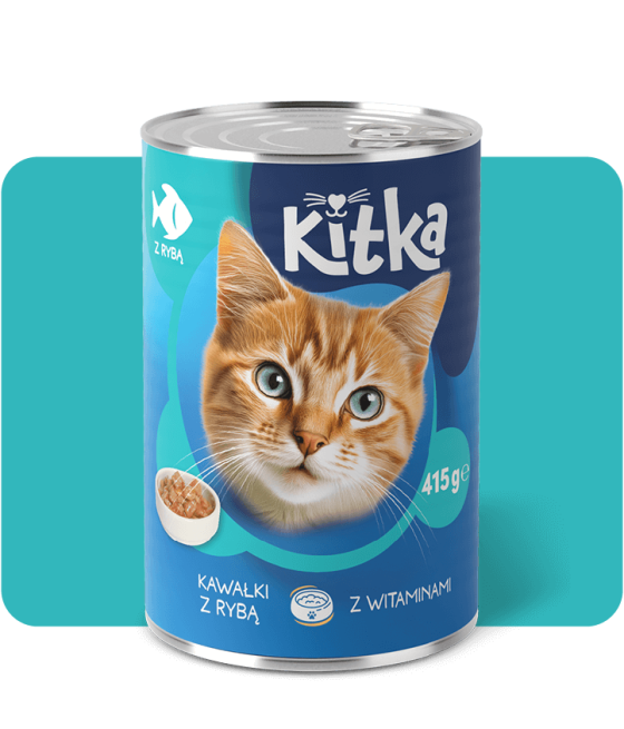Kitka Wet Food With Fish
