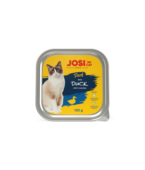 Josi Cat Duck In Pate